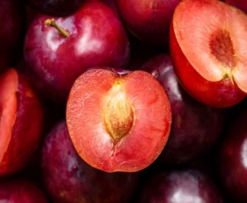 Buah Plum Kaya Akan Manfaat, Cocok untuk Diet!